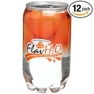 FlavH2O Sugarless Orange Drink (Pack of 12)  Grocery 