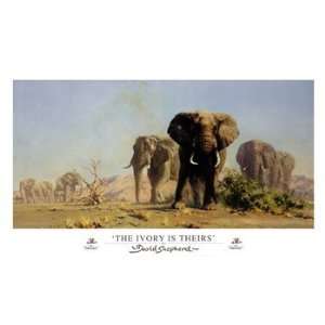 The Ivory Is Theirs Poster by David Shepherd (39.00 x 23 