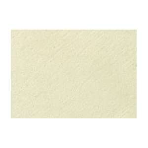  Wallis Sanded Pastel Paper Professional Grade Pad 12x18 