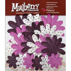    Mulberry Street Paper Embossed Tye Dye Daisy Mix E