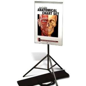  The Portable Anatomical Chart Set Model#AW CT534CC 