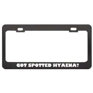  Got Spotted Hyaena? Animals Pets Black Metal License Plate 