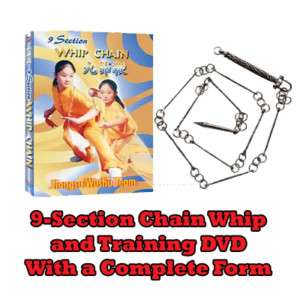 Section Chain Whip with Training DVD Kung Fu Weapon  