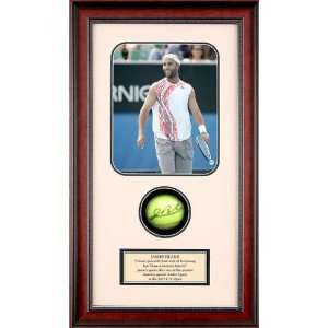  James Blake Autographed Tennis Ball Shadowbox: Everything 