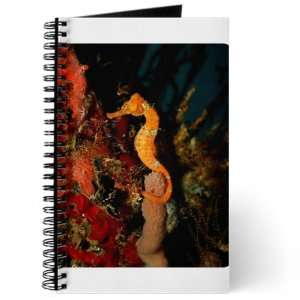  Journal (Diary) with Seahorse Holding Coral on Cover 