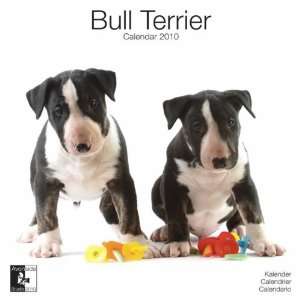  Bull Terrier 2010 Wall Calendar: Office Products
