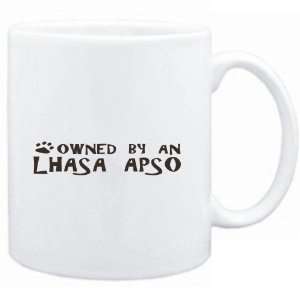  Mug White  OWNED BY Lhasa Apso  Dogs