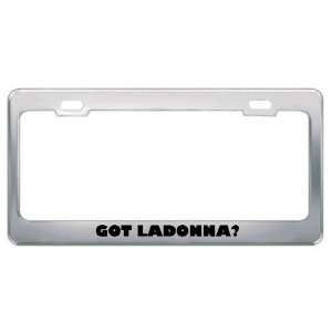  Got Ladonna? Girl Name Metal License Plate Frame Holder 