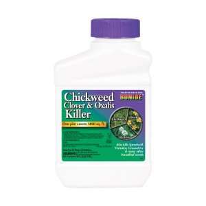  Chickweed,Clover Oxalis Pt Case Pack 12   902094 Patio 