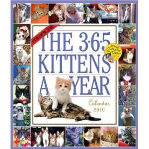  365 Kittens 2010 Wall Calendar