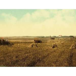  Vintage Travel Poster   South Dakota harvest field 24 X 18 