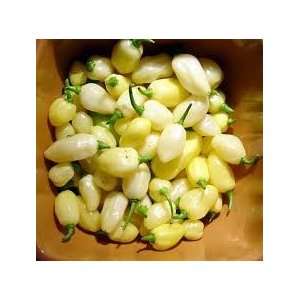 White Habanero Seeds 30+ Abuntant and Super Hot Peppers By Hinterland 