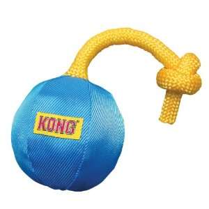  KONG Funsters Ball Dog Toy, Small: Pet Supplies