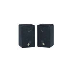  Bic America Rtr43 2 60 Watt 3 Way Indoor/Outdoor Speakers 