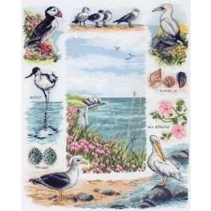  Coastal Birds   Cross Stitch Kit Arts, Crafts & Sewing