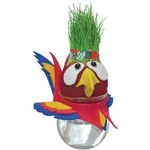  Grow A Head Wildlife Parrot Toys & Games