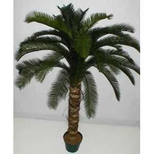 INDOOR / OUTDOOR Deluxe Cycas Palm Tree 