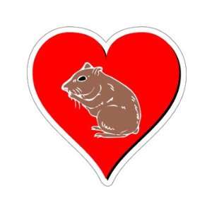  Hamster Love   Window Bumper Sticker: Automotive