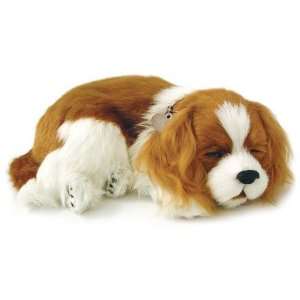   Cavalier King Charles Plush Puppy by Perfect Petzzz  Toys & Games