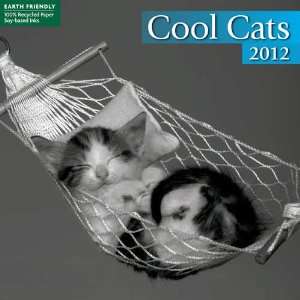  Cool Cats 2012 Mini Wall Calendar