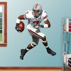  NFL Ted Ginn Jr Ohio State Vinyl Wall Graphic Decal 