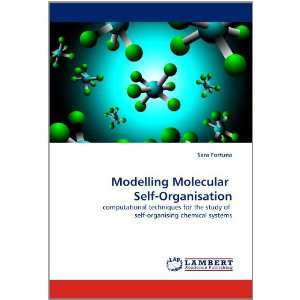 Modelling Molecular Self Organisation computational techniques for 
