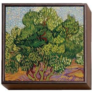 Vincent van Gogh: Olive Trees Framed Print:  Home & Kitchen