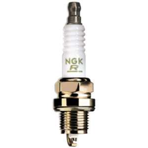  NGK Spark Plugs BUHW Spark Plugs: Sports & Outdoors