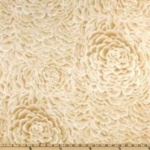   Michael Miller Antiquity Petals Cream Fabric By The Yard Arts, Crafts