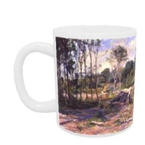  After the Storm, Sussex by Robert Tyndall   Mug   Standard 
