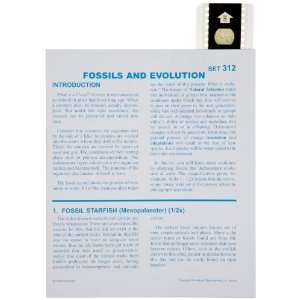   Educational T 312 Microslide Fossils and Evolution Lesson Plan Set