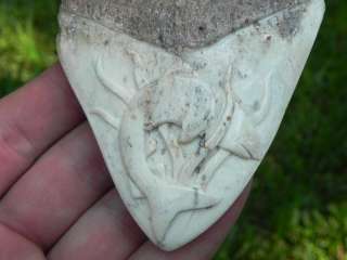 Carved Pacific Megalodon Shark Tooth PREHISTORIC HUNTER  