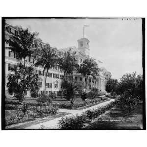 Hotel Royal Poinciana,Palm Beach,Fla. 