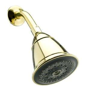  Oxygenics 83220 TriSpa Showerhead, Gold