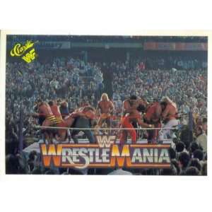   20 Man Battle Royal (WrestleMania 2) 