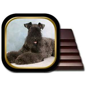  Kerry Blue Terrier Coaster Set: Kitchen & Dining