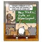 3dRose LLC Londons Times Funny God Cartoons   Teaching Old Dogs New 