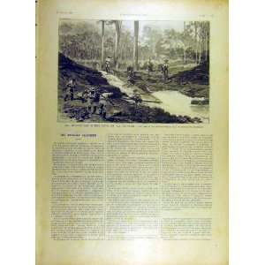 1895 Mines Guyane Carsewenne California Gold Print 