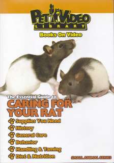 Caring for your pet RAT ~ MOUSE Care & Training DVD New  