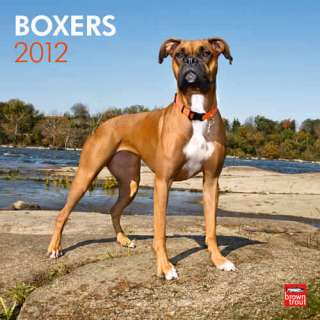 Boxers 2012 Wall Calendar 9781421677019  