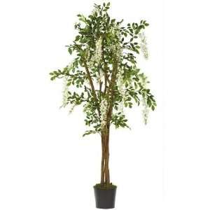   USA zeusd1 CALA 4270505 5 Inch Wisteria Silk Tree