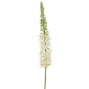  52 Foxtail Lily Spray Cream (Pack of 6)