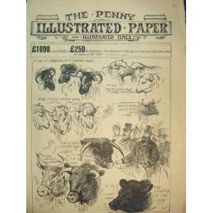   : 1893 Prince Wales Prize Cattle Smithfield Show Farm: Home & Kitchen