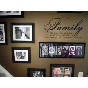 Family Like Branches On A Tree vinyl lettering wall sayings home art 