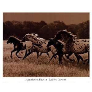  Appaloosa Run by Robert Dawson 17x14