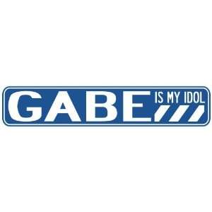   GABE IS MY IDOL STREET SIGN