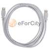 NEW 10ft USB A Male to A Male Cable Cord A A M M 10 ft  