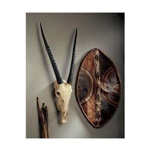   Wildlife Wall Trophy Kudu Horns Shield 