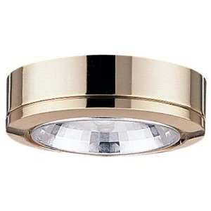  Sea Gull Ambiance Disk Lighting System Light Fixture
