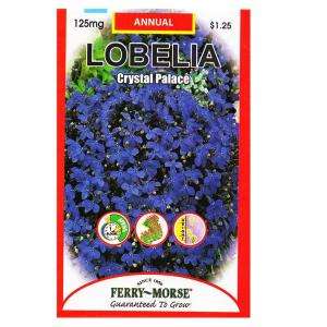 Ferry Morse Lobelia Crystal Palace Seed 8042 at The Home Depot 